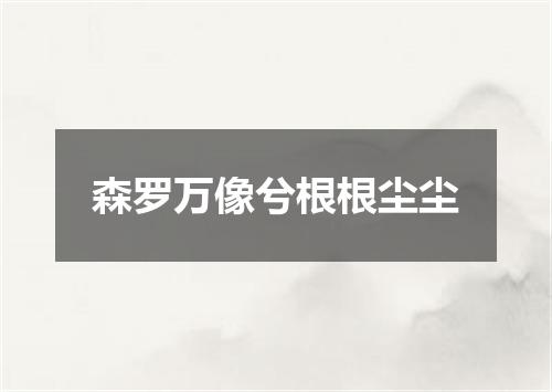 森罗万像兮根根尘尘