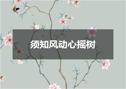 须知风动心摇树