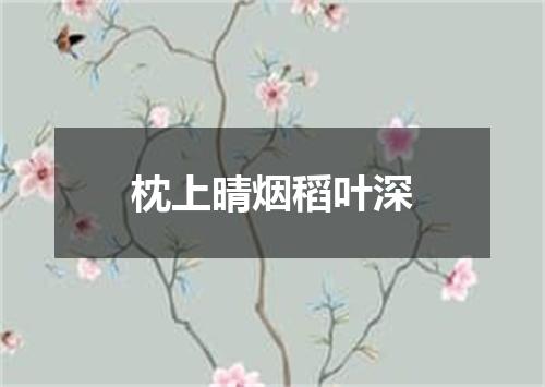 枕上晴烟稻叶深