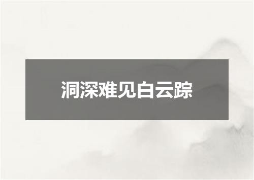 洞深难见白云踪