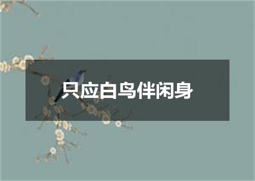 只应白鸟伴闲身