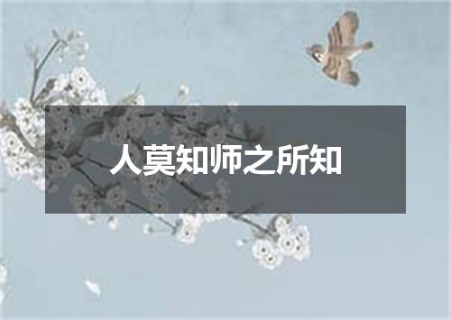 人莫知师之所知