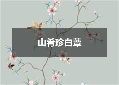 山肴珍白蕈