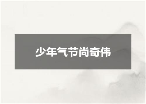 少年气节尚奇伟