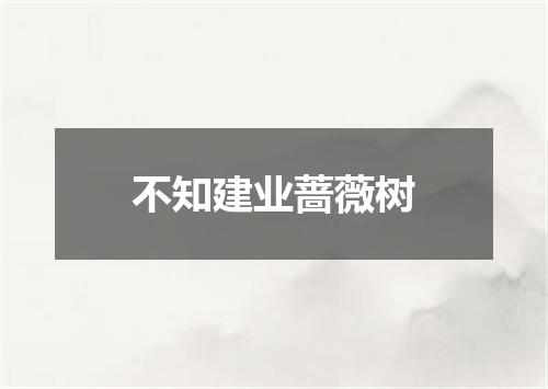 不知建业蔷薇树