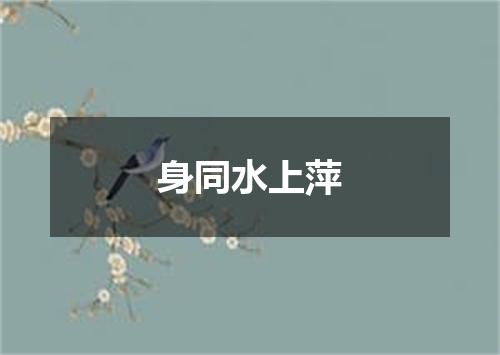 身同水上萍