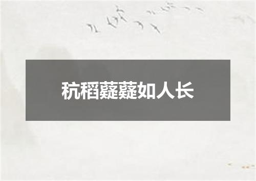 秔稻薿薿如人长