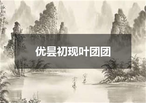 优昙初现叶团团