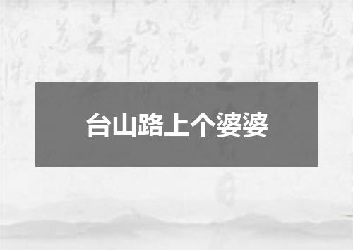 台山路上个婆婆