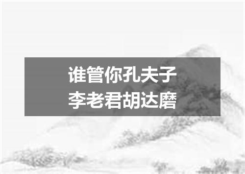 谁管你孔夫子李老君胡达磨