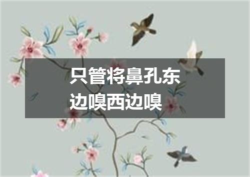 只管将鼻孔东边嗅西边嗅