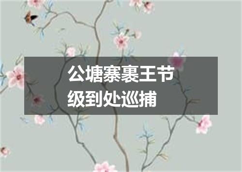 公塘寨裹王节级到处巡捕