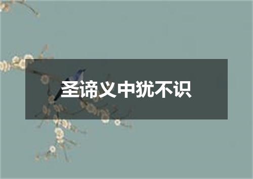 圣谛义中犹不识