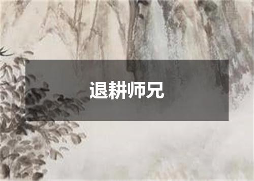 退耕师兄