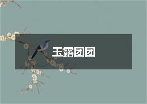 玉露团团