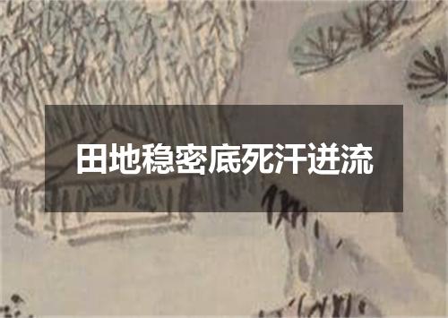 田地稳密底死汗迸流