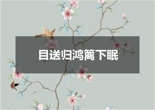 目送归鸿篱下眠