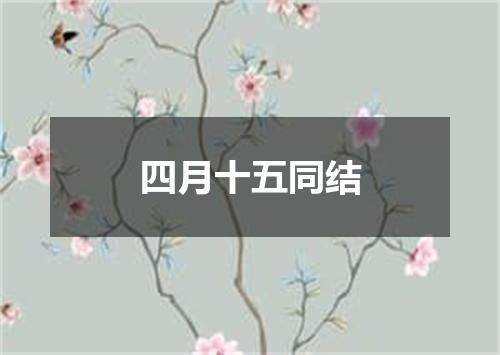 四月十五同结