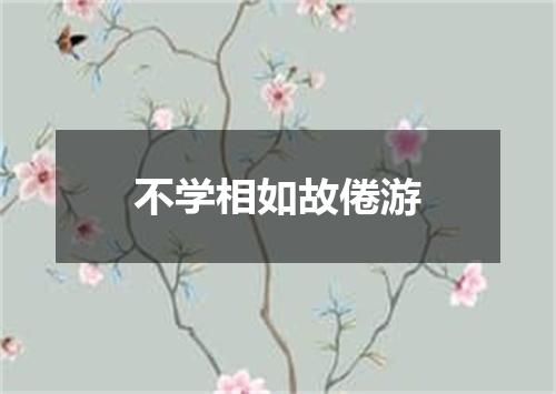 不学相如故倦游