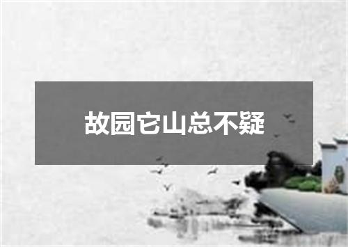 故园它山总不疑