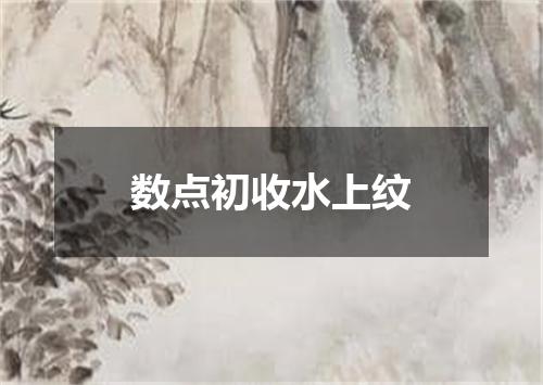 数点初收水上纹