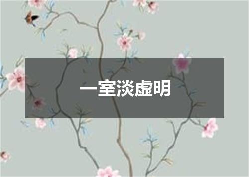 一室淡虚明