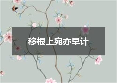 移根上宛亦早计