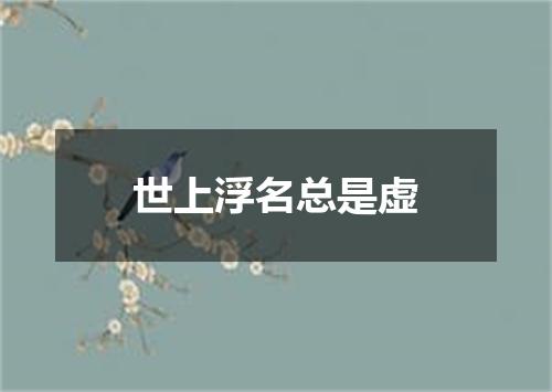 世上浮名总是虚