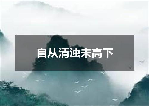 自从清浊未高下