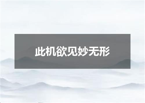 此机欲见妙无形