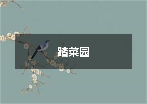 踏菜园