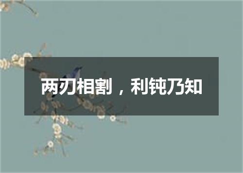 两刃相割，利钝乃知