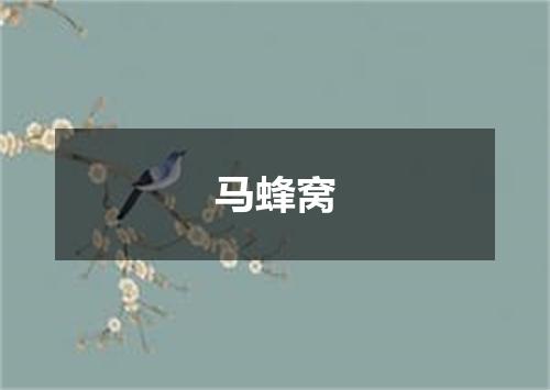 马蜂窝