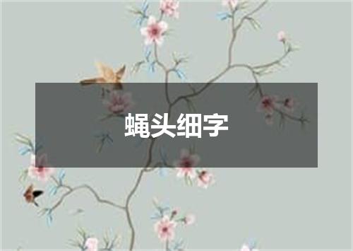 蝇头细字