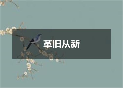 革旧从新