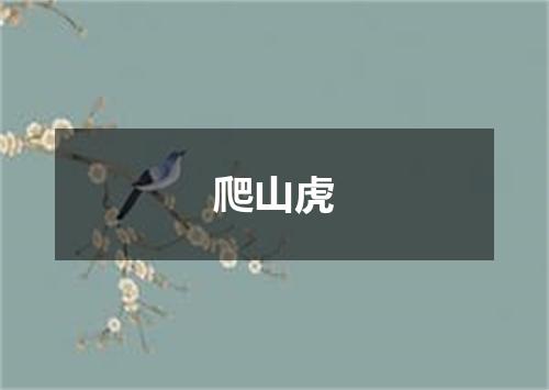 爬山虎