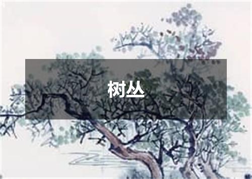 树丛