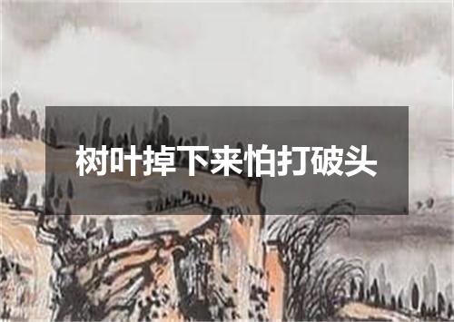 树叶掉下来怕打破头