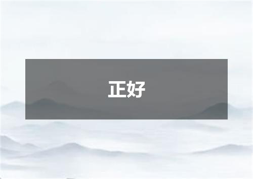 正好