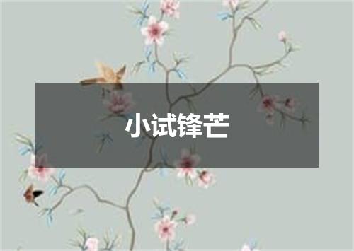 小试锋芒