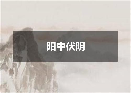 阳中伏阴