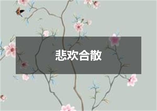 悲欢合散