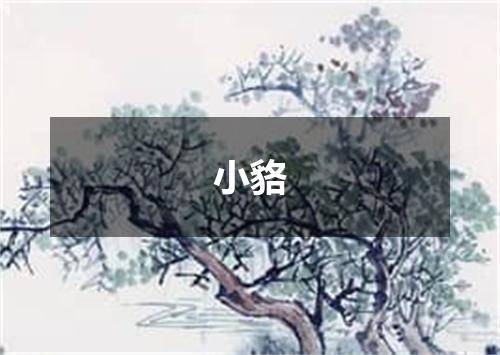 小貉