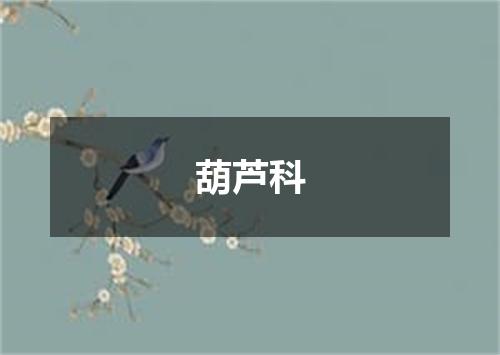 葫芦科