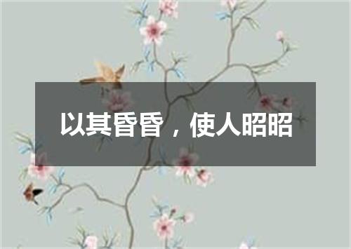 以其昏昏，使人昭昭