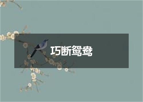 巧断鸳鸯