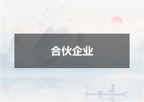 合伙企业