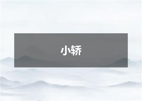 小轿