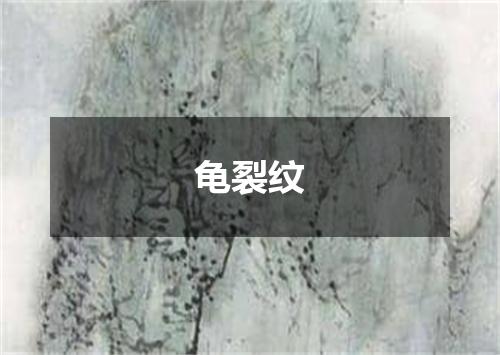 龟裂纹