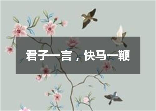 君子一言，快马一鞭